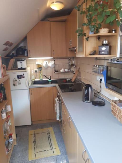 Byt 4+kk v klidné části obce Bedřichov Extérieur photo